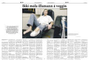 Síða 8
