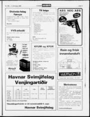 Síða 17
