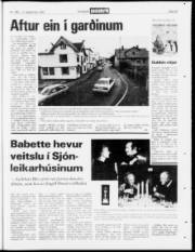Síða 23