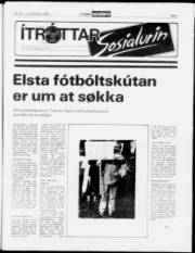 Síða 7