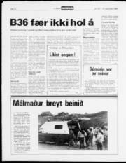 Síða 10
