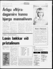 Síða 19