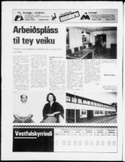 Síða 20