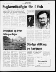 Síða 13