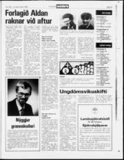 Síða 19