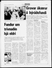 Síða 3