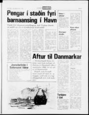 Síða 5