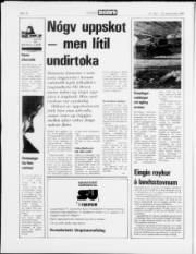 Síða 14