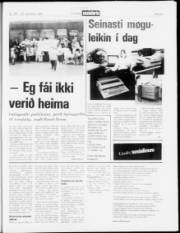 Síða 18