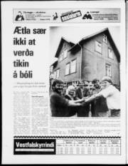 Síða 23