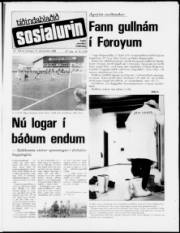 Síða 1