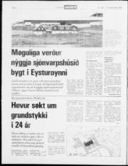 Síða 2