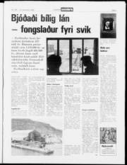 Síða 3