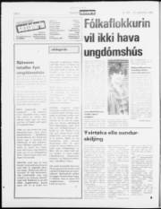 Síða 6