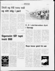 Síða 15