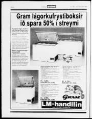 Síða 4