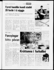 Síða 5