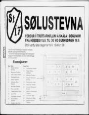Síða 20