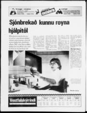 Síða 24