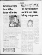 Síða 8