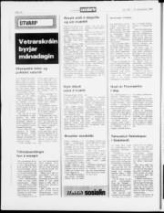 Síða 14