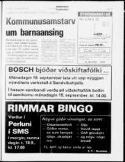 Síða 19