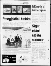 Síða 23