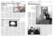 Síða 8
