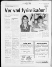 Síða 8