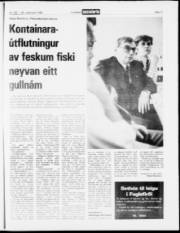 Síða 17