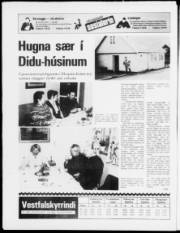 Síða 24