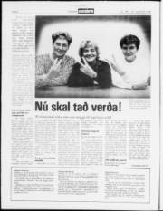 Síða 4