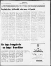 Síða 13