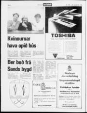 Síða 2