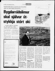 Síða 3