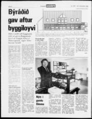 Síða 4