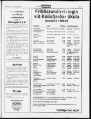 Síða 17