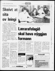 Síða 23