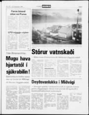 Síða 5