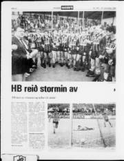 Síða 12