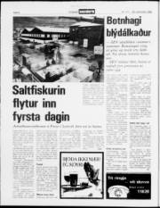 Síða 4
