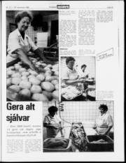 Síða 15