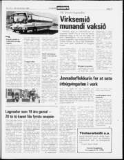 Síða 17