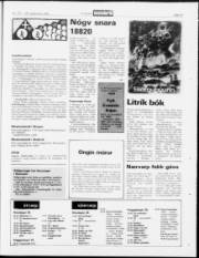Síða 19