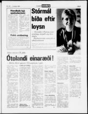 Síða 5