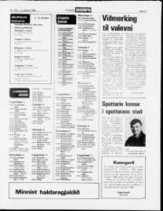 Síða 13