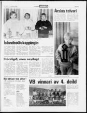 Síða 15