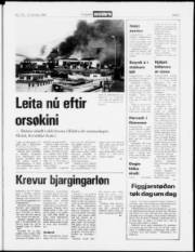 Síða 3