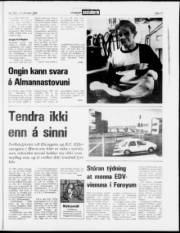 Síða 17