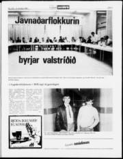 Síða 3